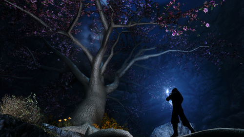 eldergleam sanctuary 27717373434 o.png