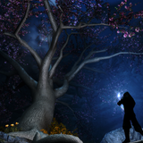 eldergleam sanctuary 27717373434 o