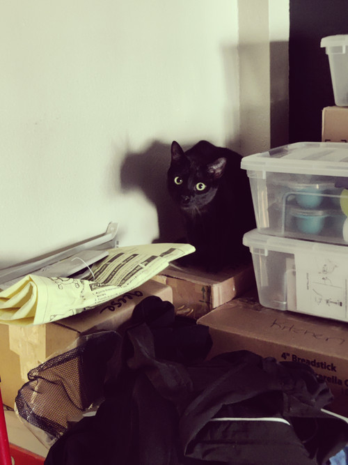 IMG 20260407 185358.jpg