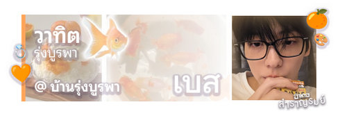 เบส.png