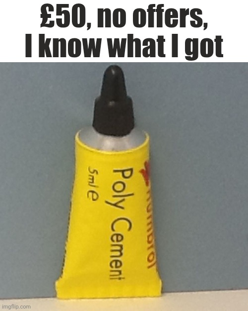 1000229019.jpg
