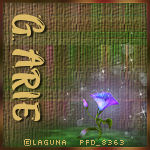 04 09 26 EFR Laguna GA.jpg