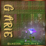 04 09 26 EFR Laguna GA