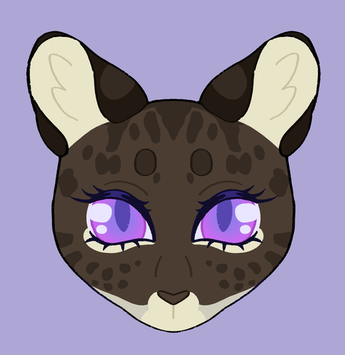 IMG 0599.png