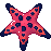 IMG 6283.png