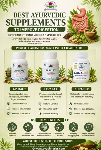 Best Ayurvedic Supplements to Improve Digestion Natural Solutions for a Happy Gut.jpg