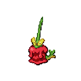 1011.gif