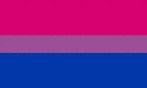 sexuality flag