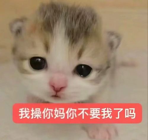 f2c736e3fdb54a399555721a094976cb.jpg