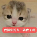 f2c736e3fdb54a399555721a094976cb