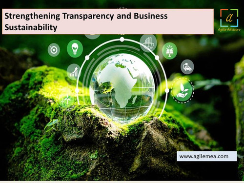 Strengthening Transparency and Business Sustainability.jpg