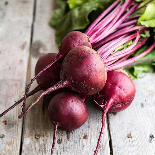 beetroot 1.jpg