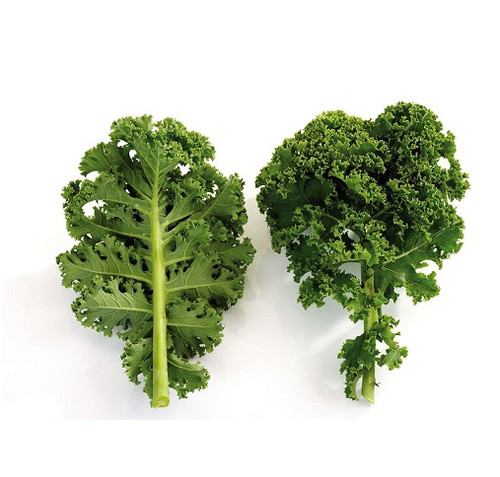 kale vegetable2.jpg