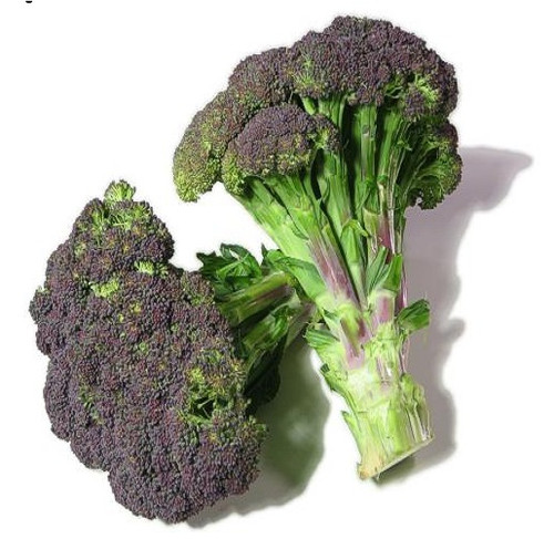 purple broccoli2.jpg