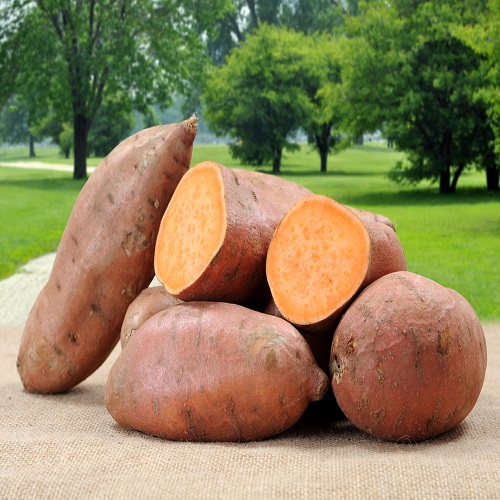 Sweet Potato3.jpg