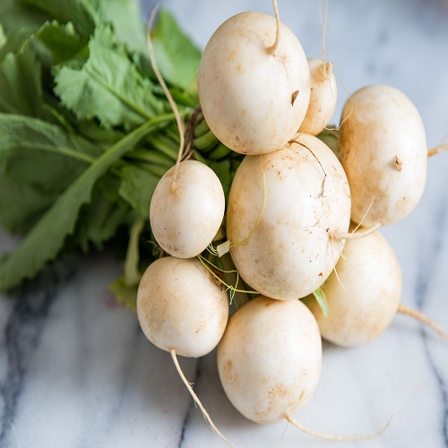 white turnip 3.jpg