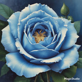 Red Rose Gül Resimi V290320260936 N60