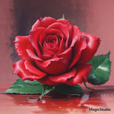 Red Rose Gül Resimi V290320260936 N8