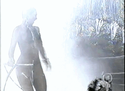 mezgif 621149e8c86b3fa9.gif