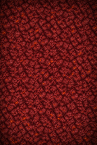 ChatGPT Image 30 de mar. de 2026, 20 53 02.png