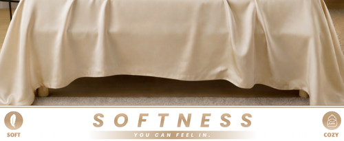 c667235e 74c3 4231 875e 8b8acc9d35e0. CR0,0,1464,600 PT0 SX1464 V1 (1).png