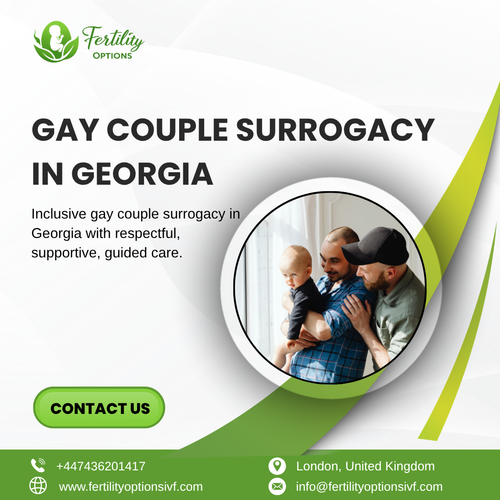 Gay Couple Surrogacy In Georgia.png