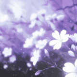 E8842514 2994 4327 8F2B 5B5D075928AA.gif