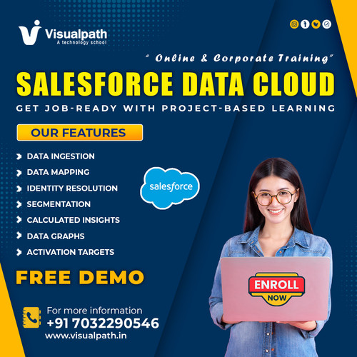 Master Salesforce Data Cloud Training Online | Visualpath.jpg