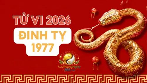 Tử vi tuổi Tỵ năm 2026 – Năm chuyển vận, lấy trí làm gốc, lấy tĩnh chế động.webp