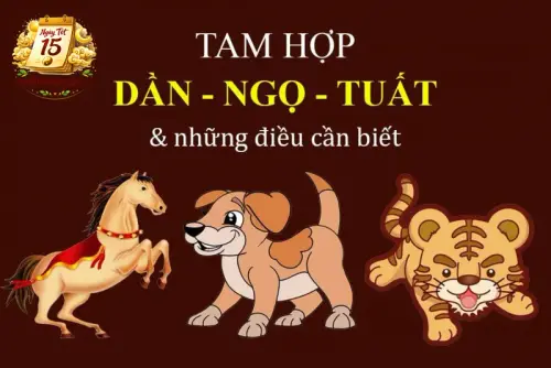 Xung Tuổi – Hợp Tuổi Ảnh Hưởng Thế Nào Khi Chọn Ngày?.webp