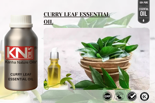 CURRY LEAF ESSENTIAL OIL.png