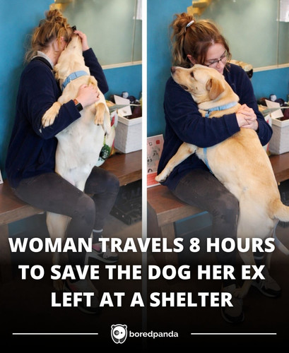 WOMAN TRAVELS 8 HOURS TO SAVE THE DOG HER EX LEFT AT A SHELTER.jpg