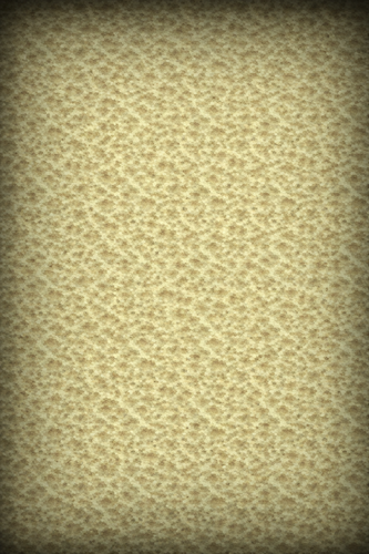 ChatGPT Image 30 de mar. de 2026, 21 06 30.png