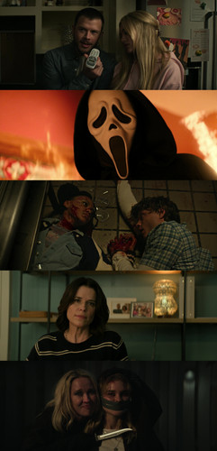 InCollage 20260331 163125705.jpg