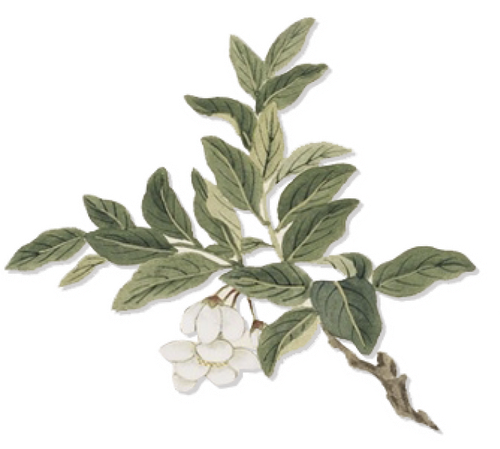 IMG 20260331 202425.png