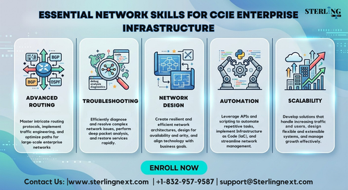 ccie enterprise infrastructure network skills infographic.png