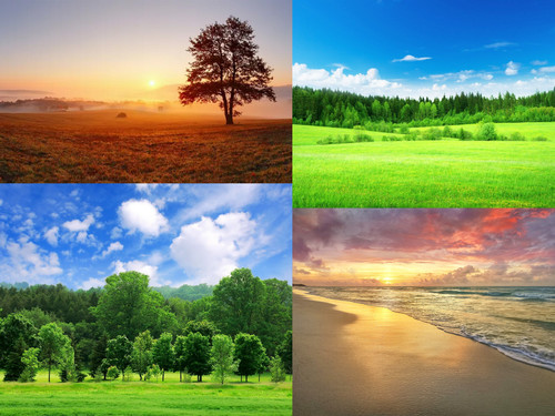 ' Glorified is The All-Mighty Creator '.jpg