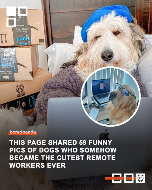 Community Share 2 (2).jpg