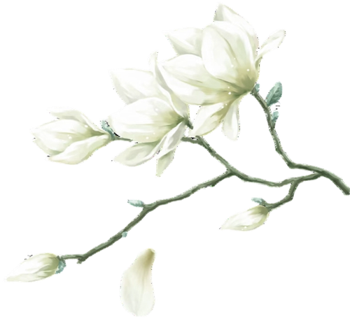 IMG 20260331 222553.png