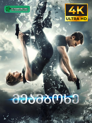 Insurgent cover.jpg