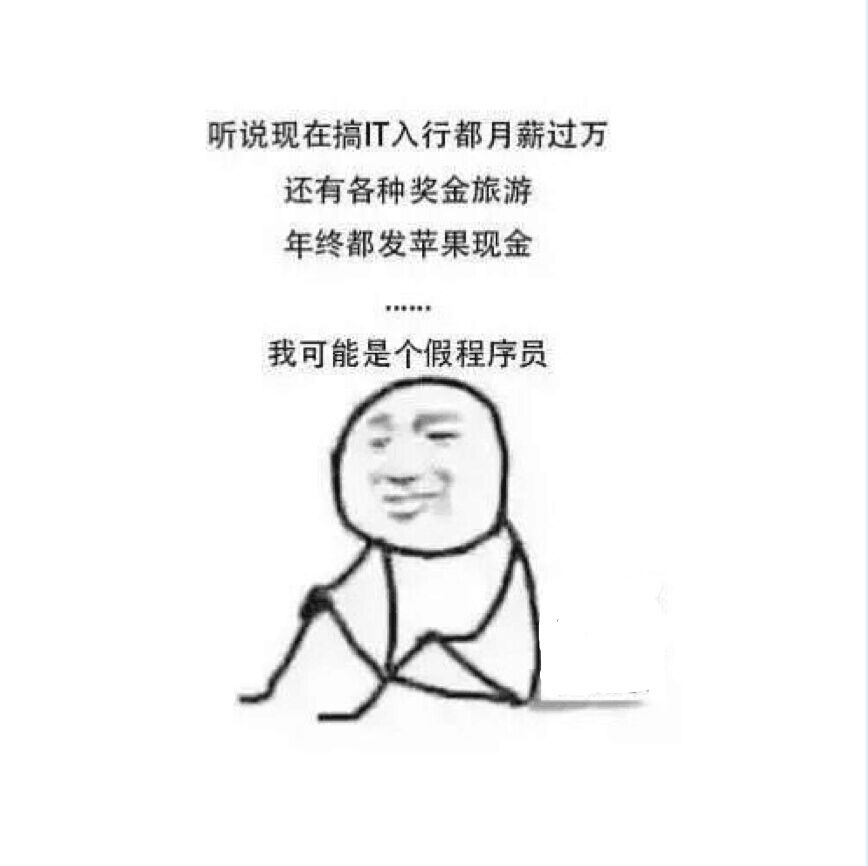 程序员系列表情:我可能是个假程序员