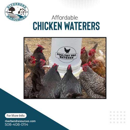Affordable Chicken Waterers.png
