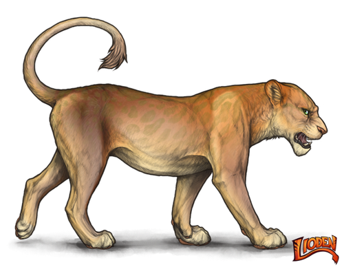 lioden wardrobe (1).png