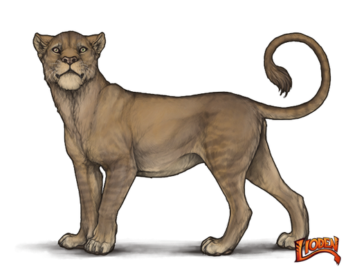 lioden wardrobe (2).png