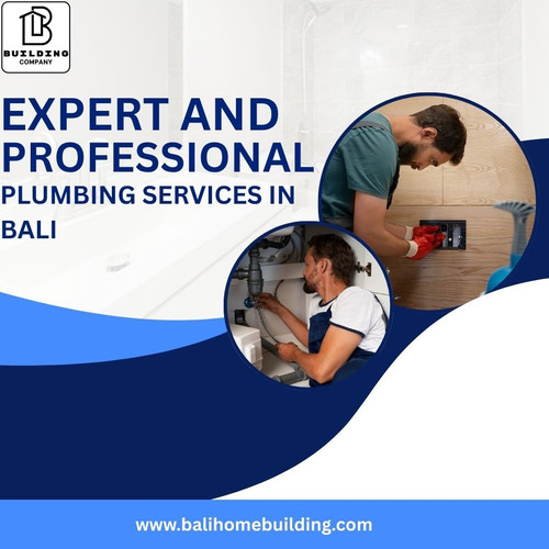 Expert and Professional Plumbing services in Bali.jpg