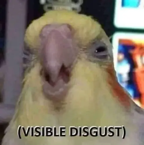 1776851463266