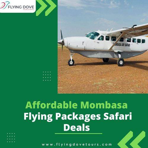 Affordable Mombasa Flying Packages Safari Deals.jpg