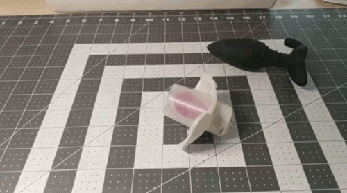 1.gif