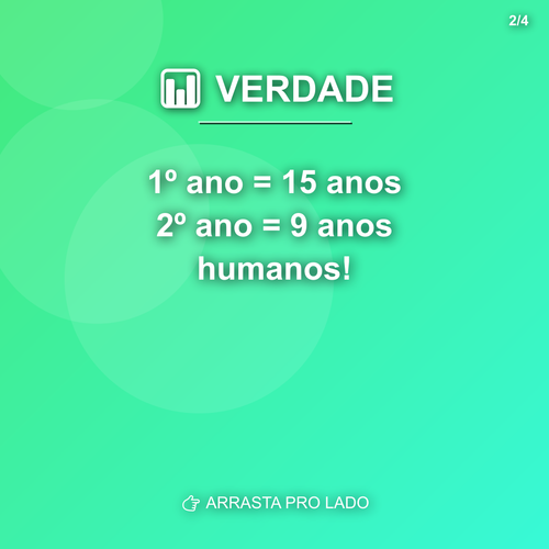 carousel 1776985206937 slide2.png