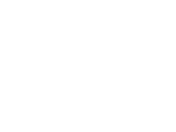 nuevemx.2